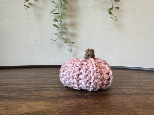 Pink Mini Pumpkin