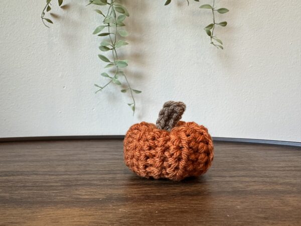 Burnt Orange Mini Pumpkin