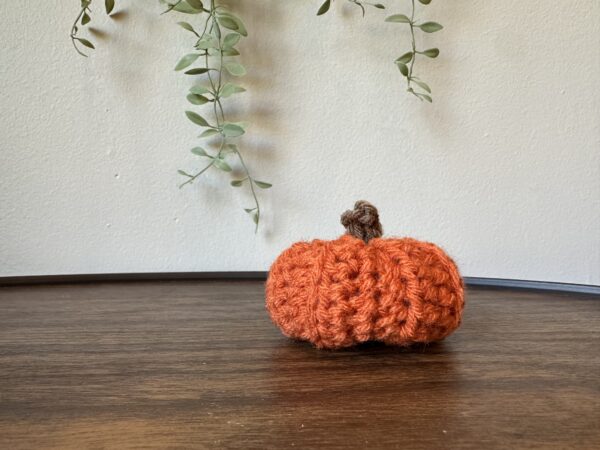 Orange Mini Pumpkin