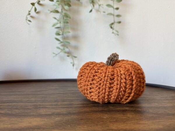 Burnt Orange Small Crochet Pumpkin